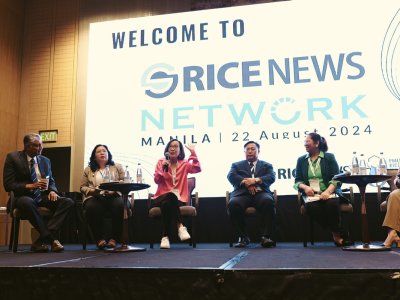 SS Rice News Network Manila, 22 August 2024